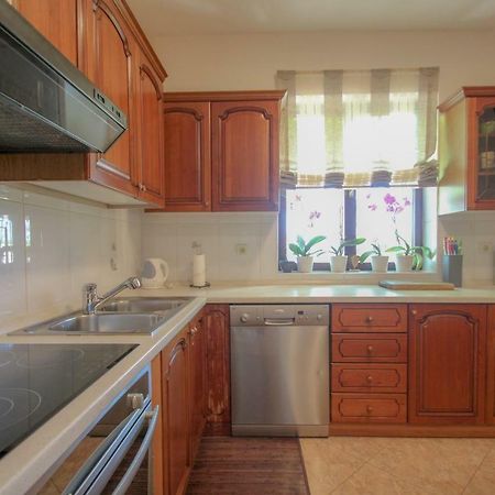 Apartment Sanja Novigrad Istria 외부 사진