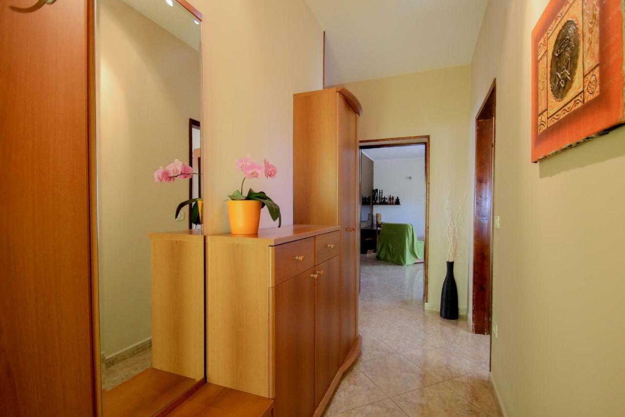 Apartment Sanja Novigrad Istria 외부 사진