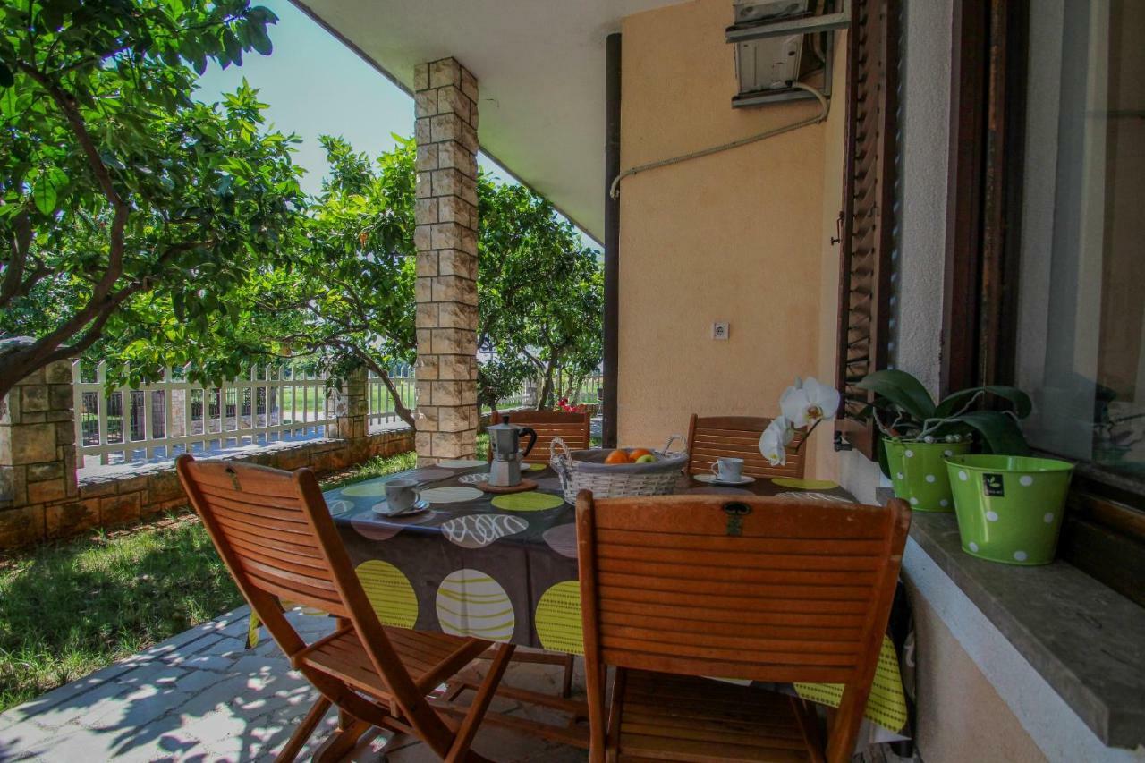 Apartment Sanja Novigrad Istria 외부 사진