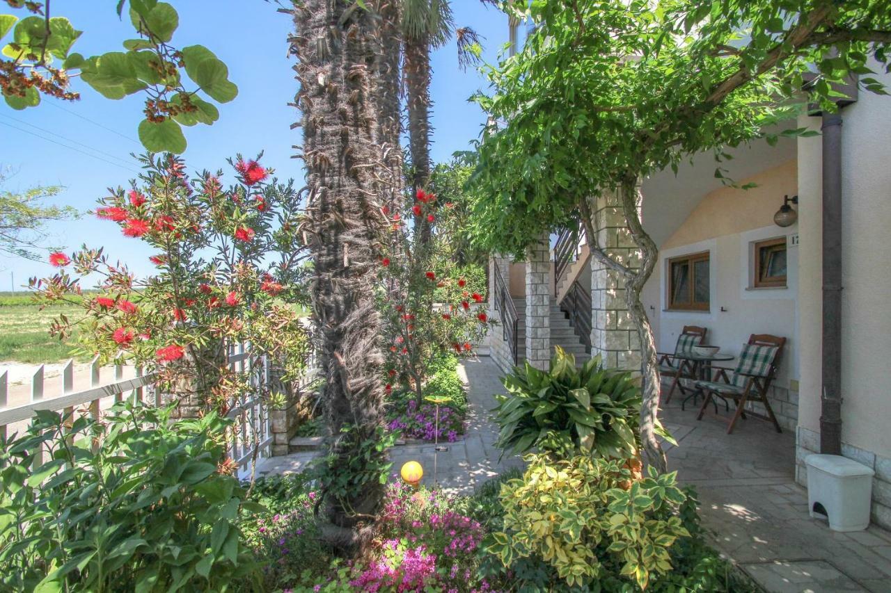 Apartment Sanja Novigrad Istria 외부 사진